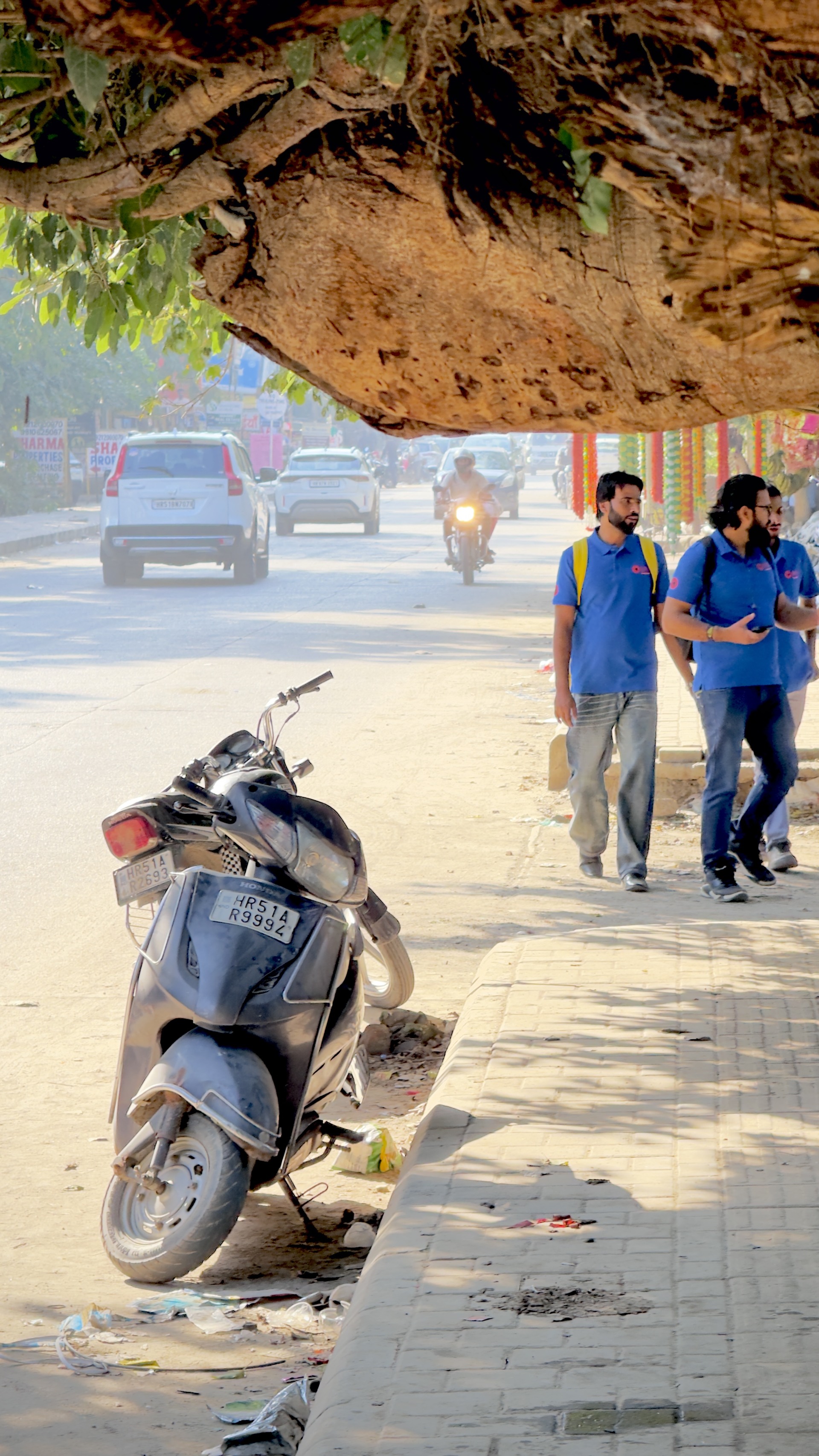 Three men in blue shirts walk beneath a broad tree branch. Scooters stand beside the pavement, with traffic in the sunlit street.
